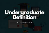 undergraduate definition