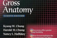 BRS Gross Anatomy 9th Edition PDF Free Download
