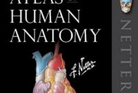 Netter Atlas of Human Anatomy PDF 7th Edition PDF Free Download