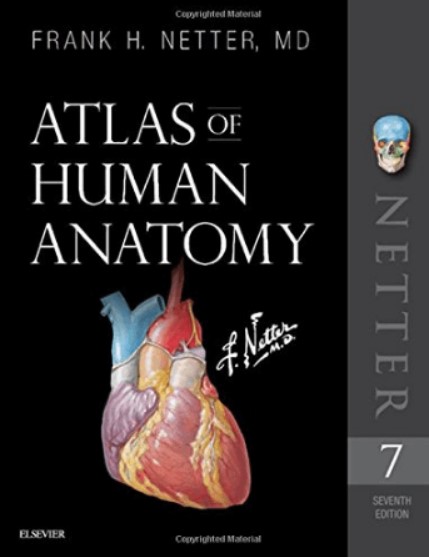 Netter Atlas of Human Anatomy PDF 7th Edition Free Download