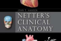 Netter’s Clinical Anatomy PDF 4th Edition Free Download