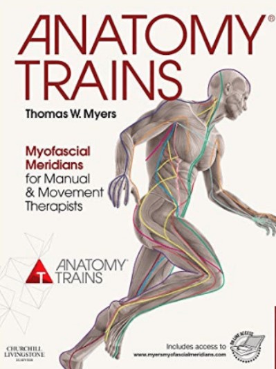 Download Anatomy Trains: Myofascial Meridians for Manual and Movement Therapists PDF 4th Edition Free