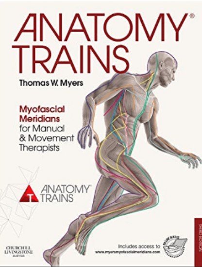 Download Anatomy Trains: Myofascial Meridians for Manual and Movement Therapists PDF 4th Edition