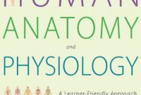 Download Making Sense of Human Anatomy and Physiology: A Learner-Friendly Approach PDF Free