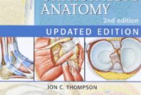 Netter’s Concise Orthopaedic Anatomy PDF 2nd Edition Free Download