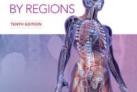Snell’s Clinical Anatomy by Regions PDF 10th Edition Free Download