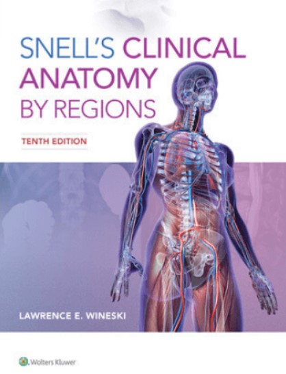 Snell’s Clinical Anatomy by Regions PDF 10th Edition Free Download
