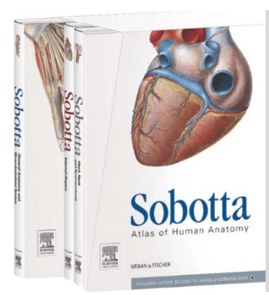 Sobotta Atlas of Human Anatomy All Volumes 1-2-3 PDF Free Download