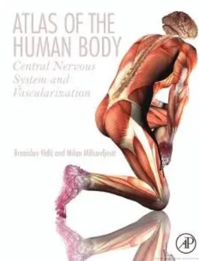 Atlas of the Human Body Central Nervous System and Vascularization PDF Free Download