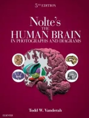 The Human Brain in Photographs and Diagrams Vanderah 5th Edition PDF Free Download
