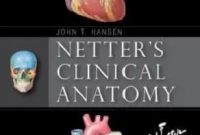 Netter’s Clinical Anatomy, 4th Edition PDF Free Download