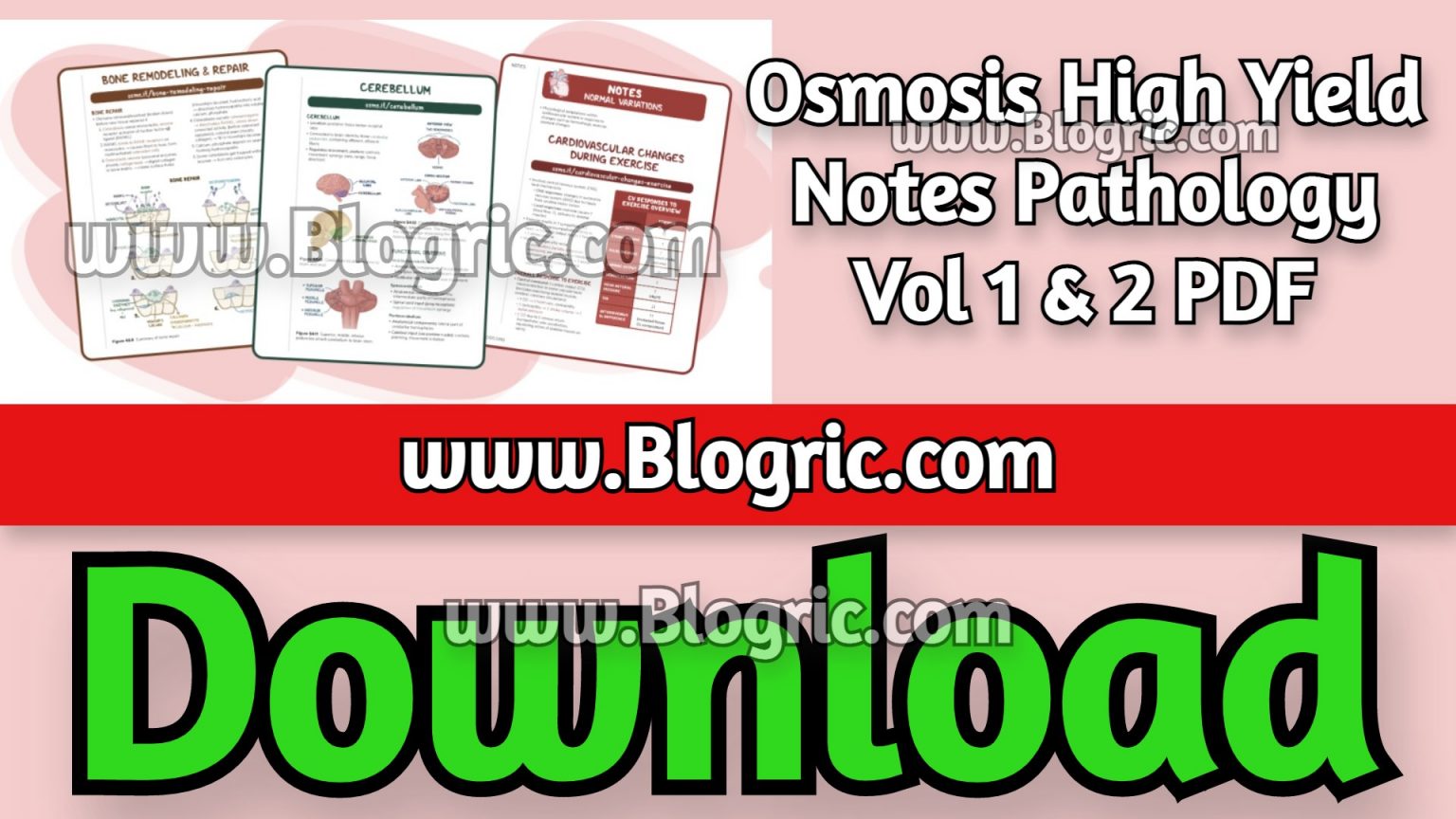 Osmosis High Yield Notes Pathology 2022 PDF Free Download Blogric
